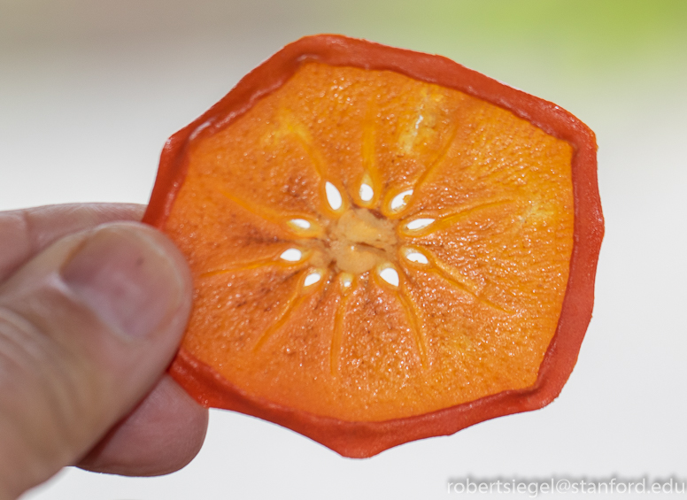 persimmon